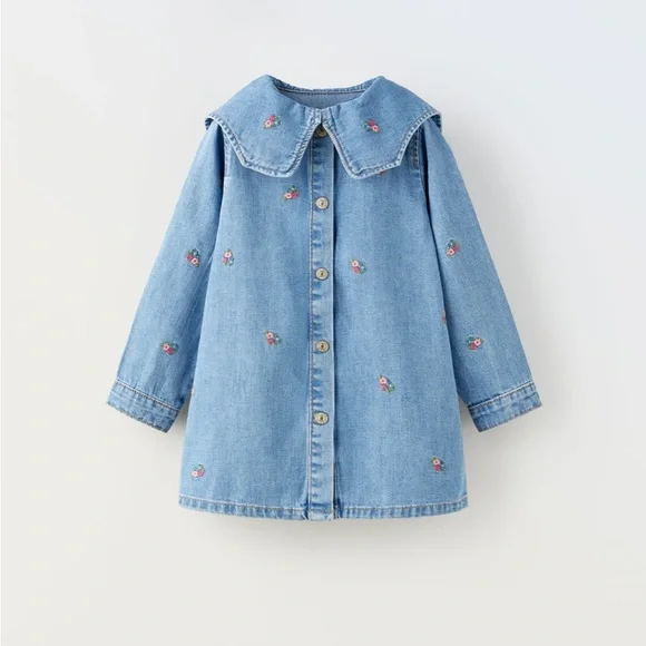 DENIM EMBROIDERED DRESS - Picture 1 of 3